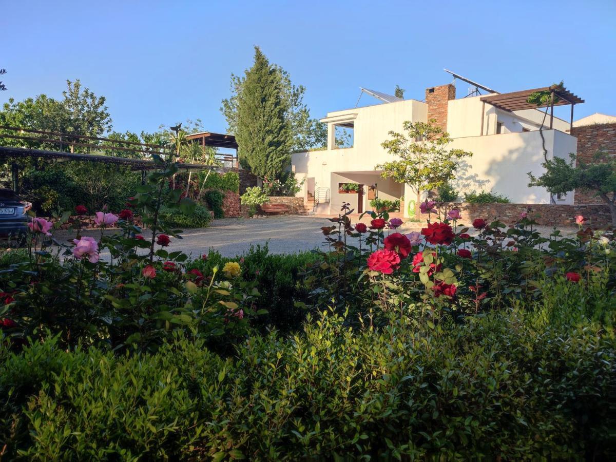 El Domingo En El Valle 丰东 外观 照片