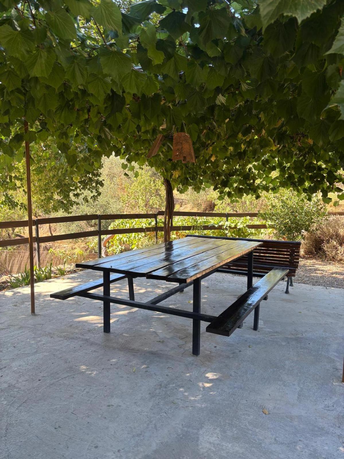 El Domingo En El Valle 丰东 外观 照片