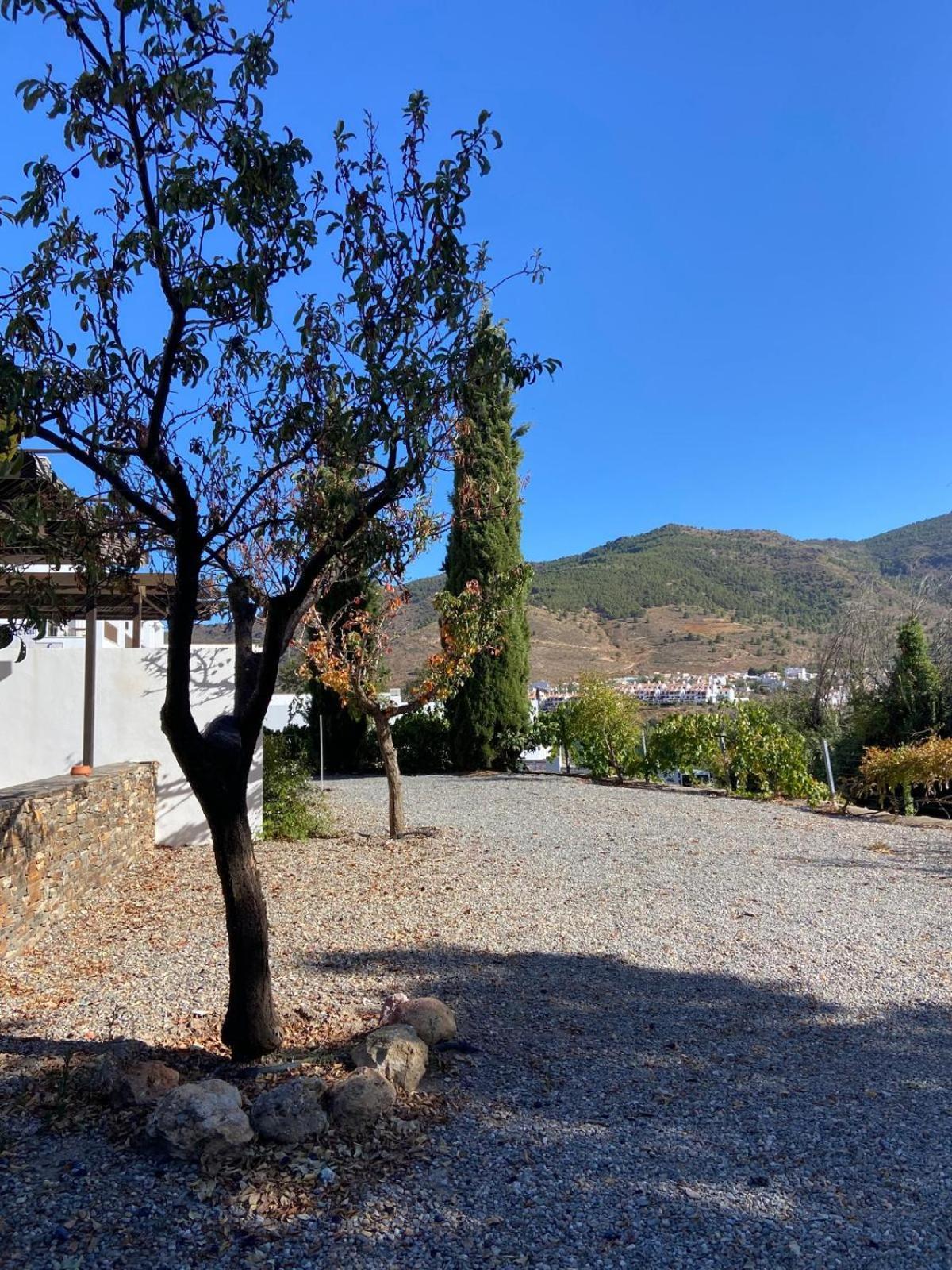 El Domingo En El Valle 丰东 外观 照片