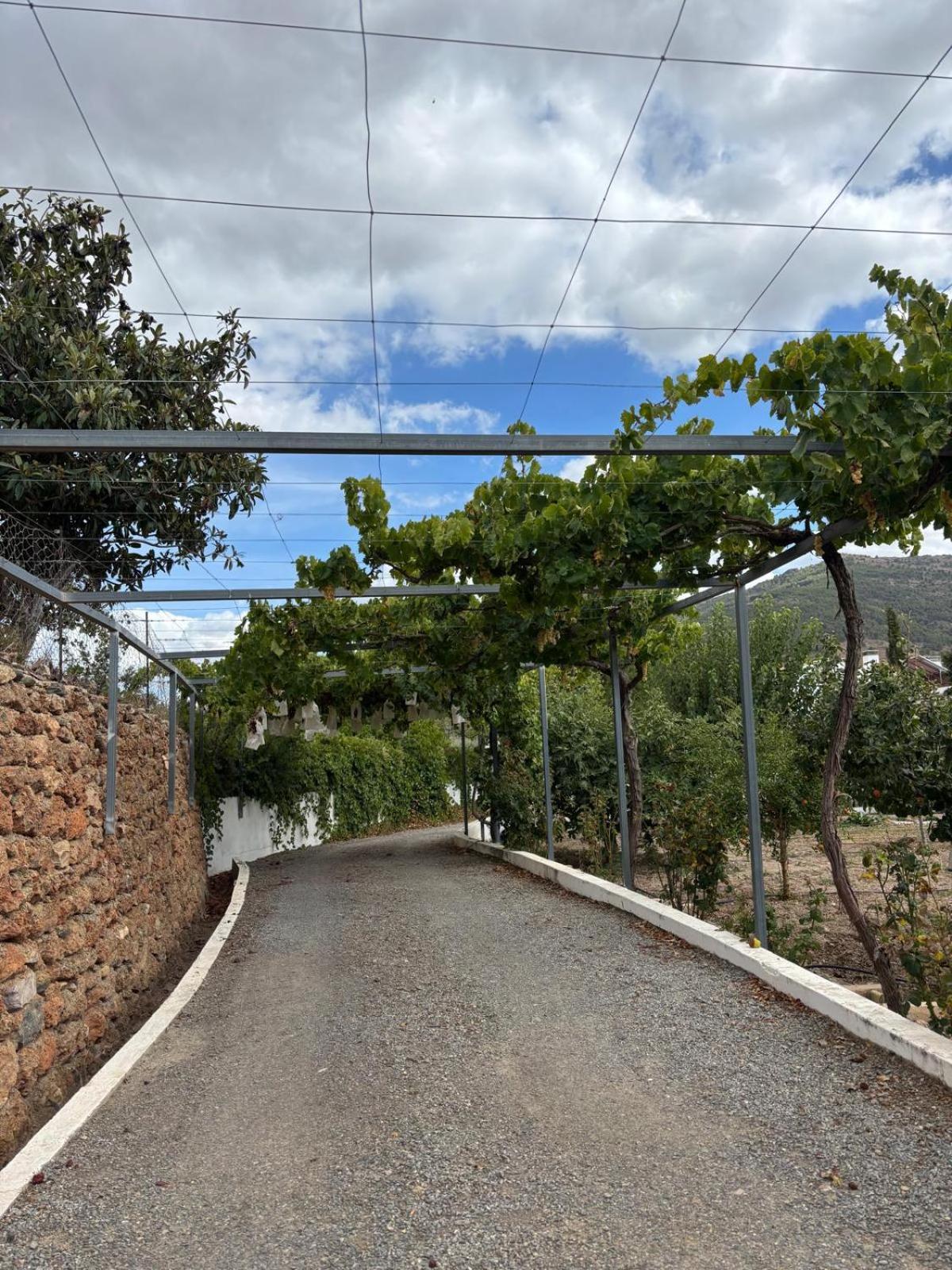 El Domingo En El Valle 丰东 外观 照片